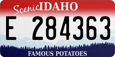 ID license plate E284363