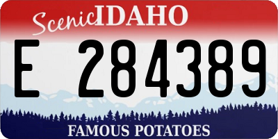 ID license plate E284389