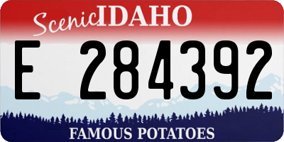 ID license plate E284392