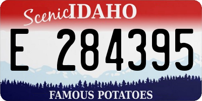 ID license plate E284395