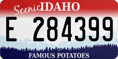 ID license plate E284399