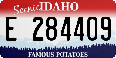 ID license plate E284409