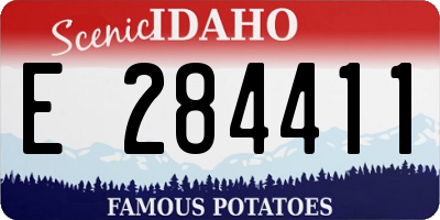 ID license plate E284411