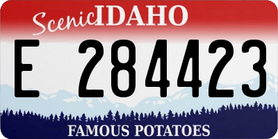 ID license plate E284423