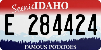 ID license plate E284424