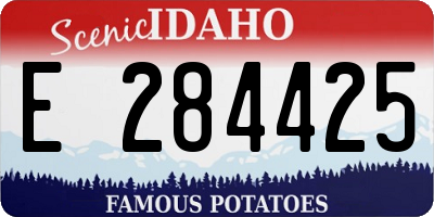 ID license plate E284425