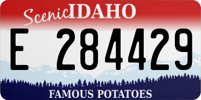 ID license plate E284429