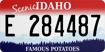 ID license plate E284487