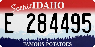 ID license plate E284495