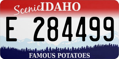 ID license plate E284499