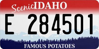 ID license plate E284501