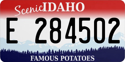ID license plate E284502
