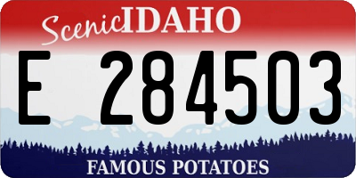 ID license plate E284503