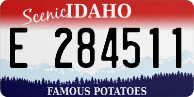 ID license plate E284511