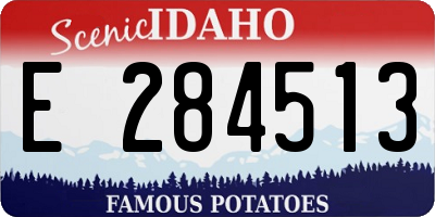 ID license plate E284513