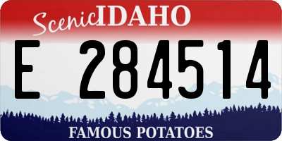ID license plate E284514