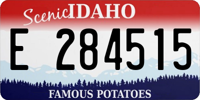 ID license plate E284515