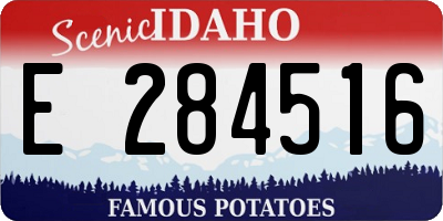 ID license plate E284516