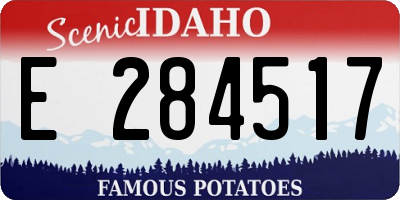 ID license plate E284517
