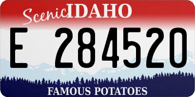 ID license plate E284520
