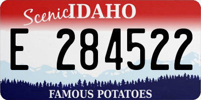 ID license plate E284522