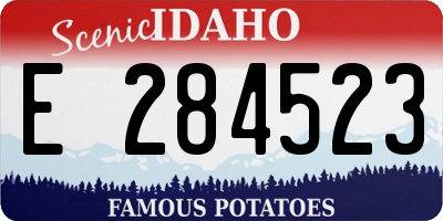 ID license plate E284523