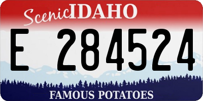 ID license plate E284524