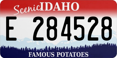 ID license plate E284528