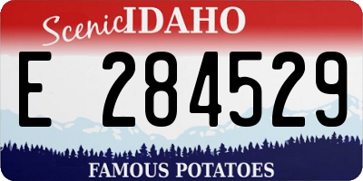 ID license plate E284529