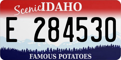 ID license plate E284530