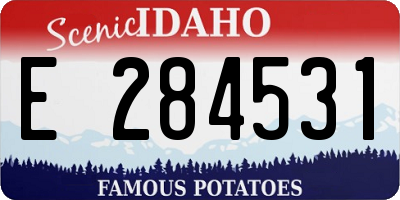 ID license plate E284531