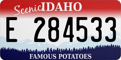 ID license plate E284533