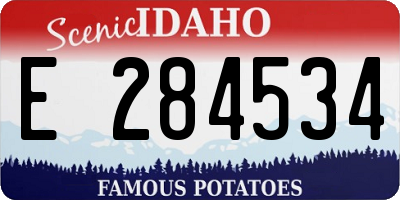 ID license plate E284534