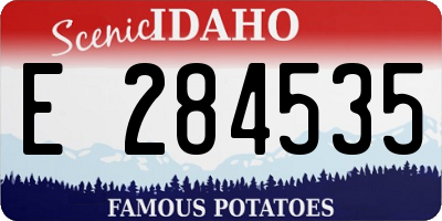 ID license plate E284535