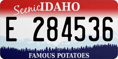 ID license plate E284536