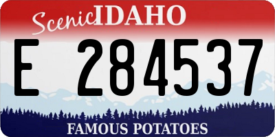 ID license plate E284537