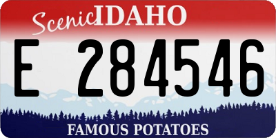 ID license plate E284546