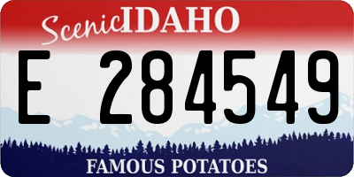 ID license plate E284549