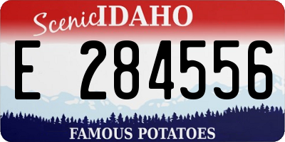 ID license plate E284556