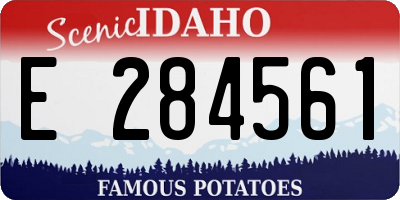 ID license plate E284561