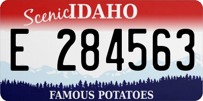 ID license plate E284563