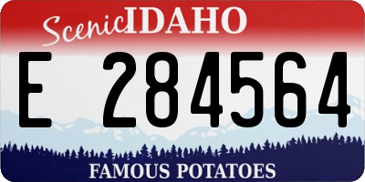ID license plate E284564