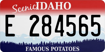 ID license plate E284565