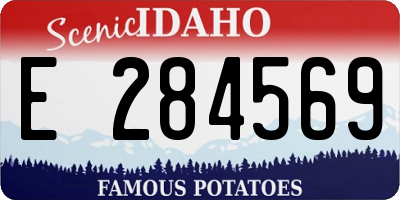 ID license plate E284569