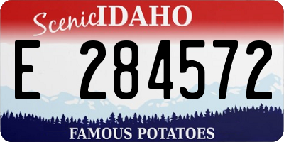 ID license plate E284572