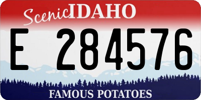 ID license plate E284576