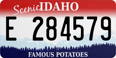 ID license plate E284579