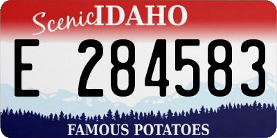 ID license plate E284583