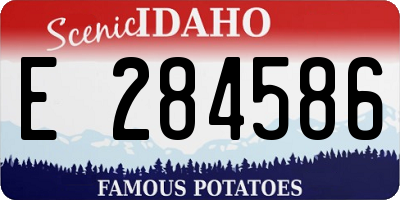 ID license plate E284586
