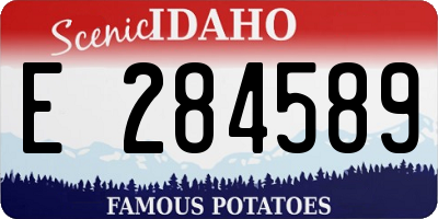 ID license plate E284589